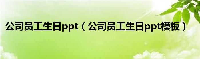 公司员工生日ppt（公司员工生日ppt模板）