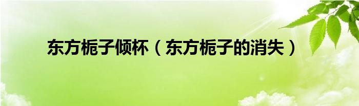 东方栀子倾杯（东方栀子的消失）