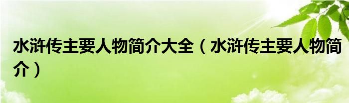水浒传主要人物简介大全（水浒传主要人物简介）