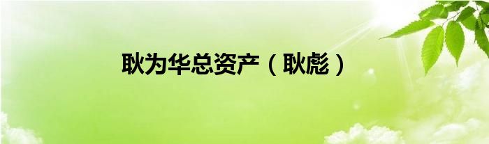 耿为华总资产（耿彪）