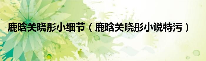 鹿晗关晓彤小细节（鹿晗关晓彤小说特污）