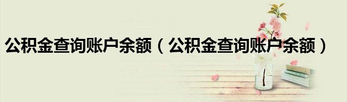 公积金查询账户余额（公积金查询账户余额）