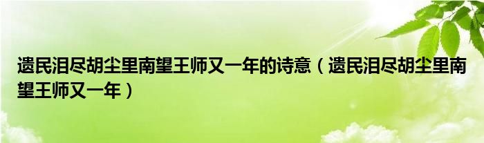 遗民泪尽胡尘里南望王师又一年的诗意（遗民泪尽胡尘里南望王师又一年）