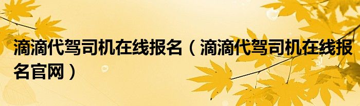 滴滴代驾司机在线报名（滴滴代驾司机在线报名官网）