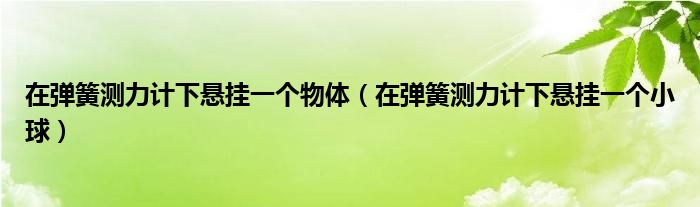 在弹簧测力计下悬挂一个物体（在弹簧测力计下悬挂一个小球）