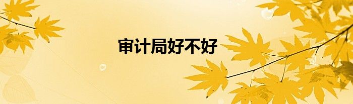 审计局好不好