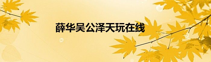 薛华吴公泽天玩在线