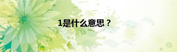 1是什么意思？