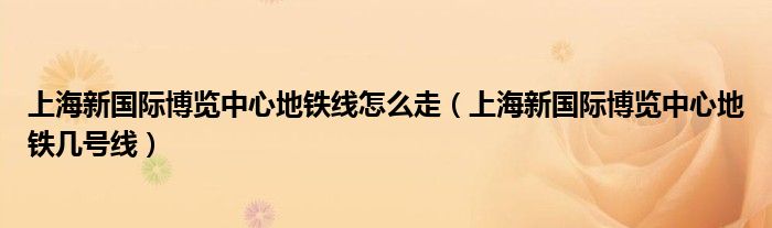 上海新国际博览中心地铁线怎么走（上海新国际博览中心地铁几号线）