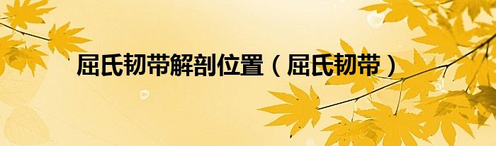 屈氏韧带解剖位置（屈氏韧带）