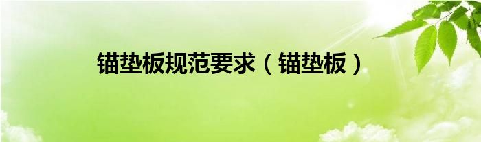 锚垫板规范要求（锚垫板）