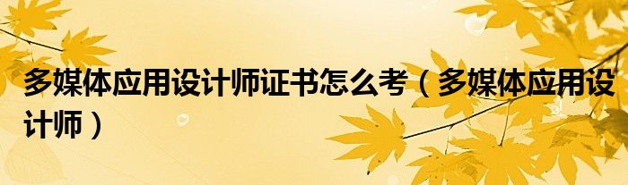 多媒体应用设计师证书怎么考（多媒体应用设计师）
