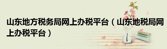 山东地方税务局网上办税平台（山东地税局网上办税平台）