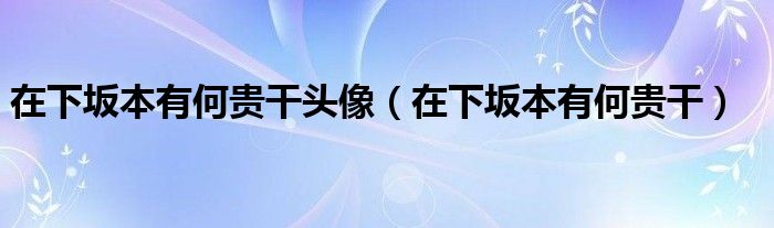 在下坂本有何贵干头像（在下坂本有何贵干）