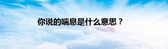 你说的喘息是什么意思？