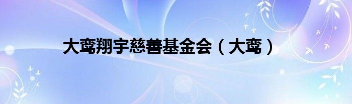 大鸾翔宇慈善基金会（大鸾）