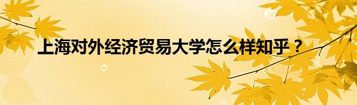 上海对外经济贸易大学怎么样知乎？