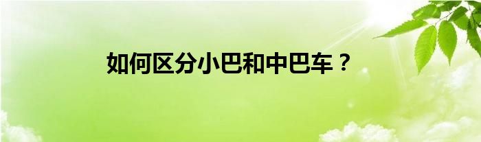 如何区分小巴和中巴车？
