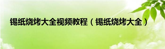 锡纸烧烤大全视频教程（锡纸烧烤大全）