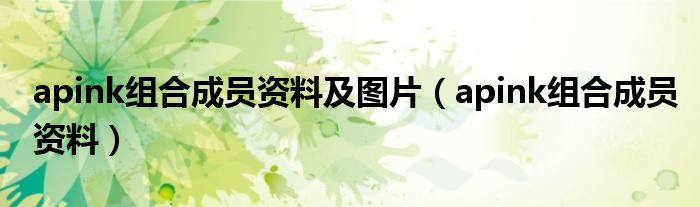 apink组合成员资料及图片（apink组合成员资料）