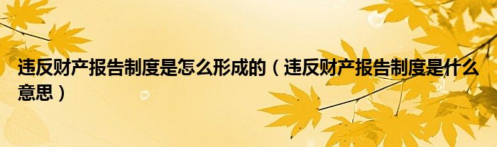 违反财产报告制度是怎么形成的(违反财产报告制度是什么意思)