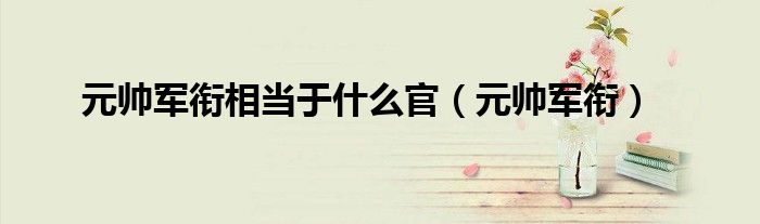 元帅军衔相当于什么官(元帅军衔)