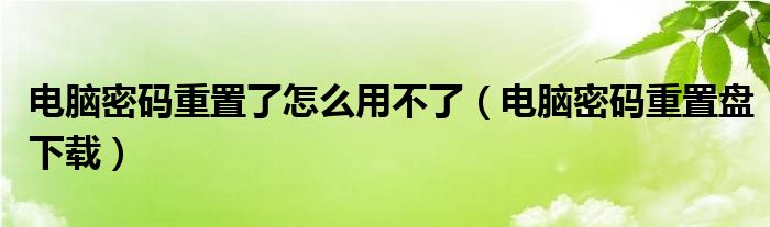 电脑密码重置了怎么用不了（电脑密码重置盘下载）