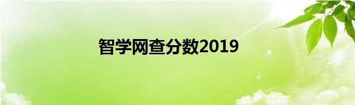智学网查分数2019