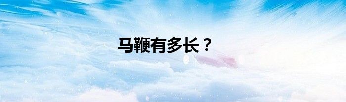 马鞭有多长？