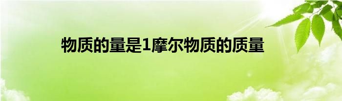 物质的量是1摩尔物质的质量