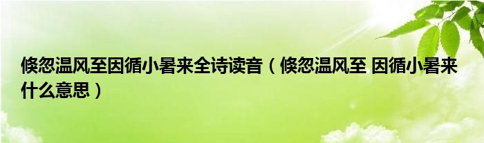 倏忽温风至因循小暑来全诗读音（倏忽温风至 因循小暑来 什么意思）