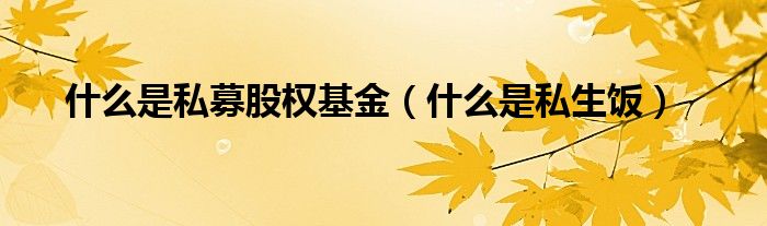 什么是私募股权基金（什么是私生饭）
