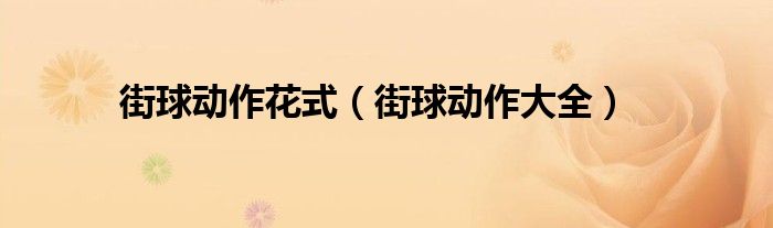 街球动作花式（街球动作大全）