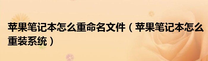 苹果笔记本怎么重命名文件（苹果笔记本怎么重装系统）