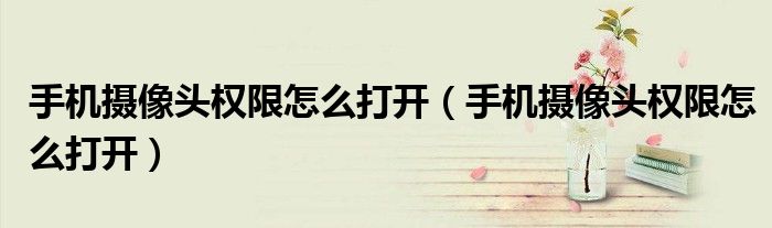 手机摄像头权限怎么打开（手机摄像头权限怎么打开）