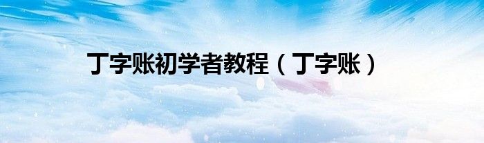 丁字账初学者教程（丁字账）