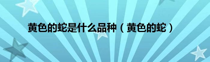 黄色的蛇是什么品种（黄色的蛇）