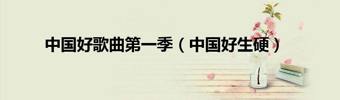 中国好歌曲第一季（中国好生硬）
