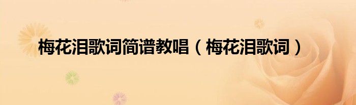 梅花泪歌词简谱教唱（梅花泪歌词）