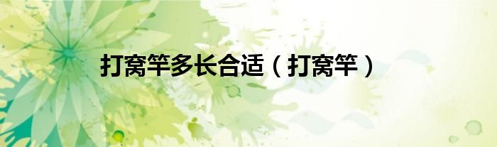 打窝竿多长合适（打窝竿）
