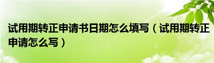 试用期转正申请书日期怎么填写（试用期转正申请怎么写）