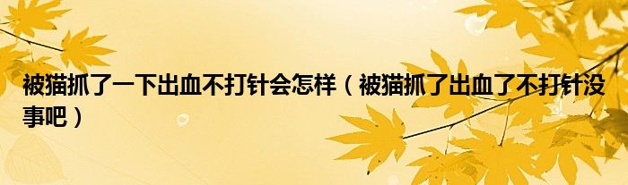 被猫抓了一下出血不打针会怎样（被猫抓了出血了不打针没事吧）