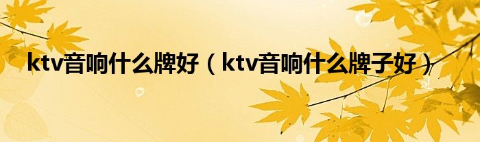 ktv音响什么牌好（ktv音响什么牌子好）