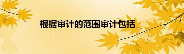 根据审计的范围审计包括