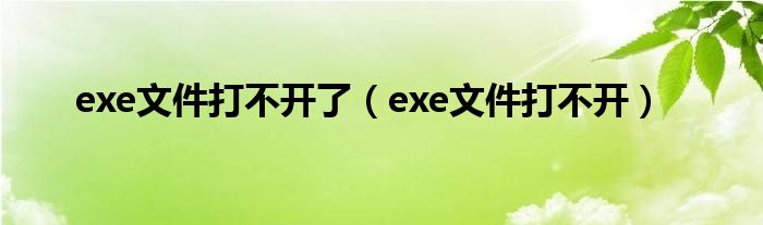 exe文件打不开了（exe文件打不开）