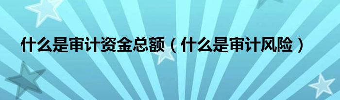什么是审计资金总额（什么是审计风险）