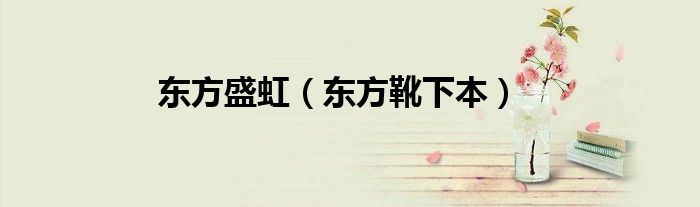东方盛虹（东方靴下本）