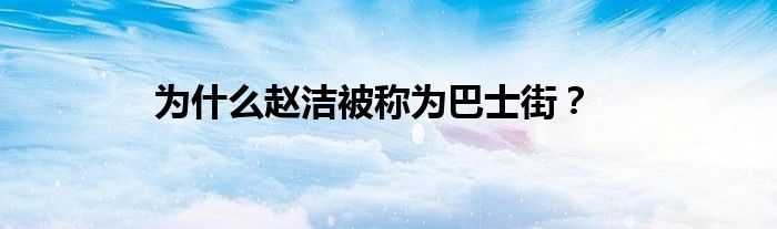 为什么赵洁被称为巴士街？