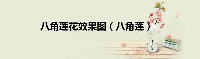 八角莲花效果图（八角莲）