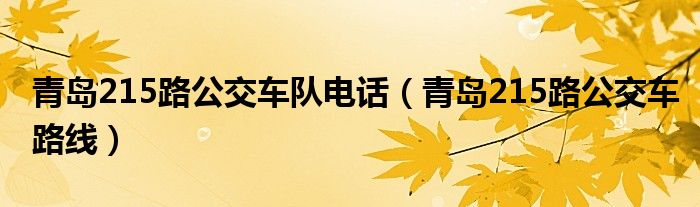 青岛215路公交车队电话（青岛215路公交车路线）